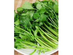 ����������ʶ ��Щʳ�ﲻ��������ͬʳ��