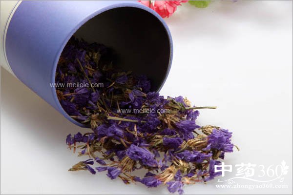 wuwangwohuachadegongxiao