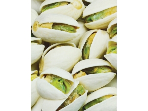 ����ע������ ����Ů�Ա����ڵı�������