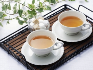 �Ƽ�����＾�������յ�ʳ��