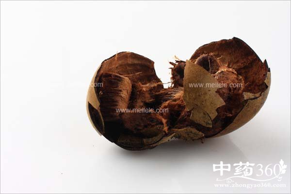 luohanguopaoshuihedegongxiao