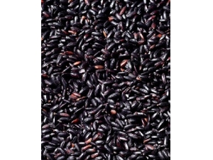 ������ʳС��ʶ �Ժ��ױ�֪6�����