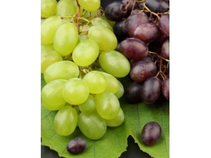 ʲôʱ���ˮ���ȽϺ� ˮ�����ʳ��ʱ��