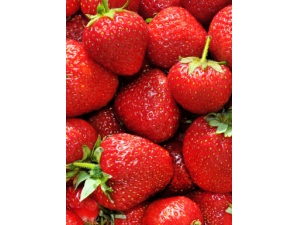 Ů�Խ��� ����ݮ������Զ�방֢