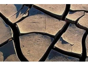 Ƥ��������ô�� ����˸���������