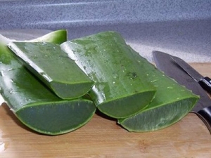 «�������·��� «��ʳ�״����