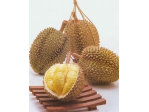 �����ӿ��Գ�ʲôˮ�� �������ԳԵ�ˮ��