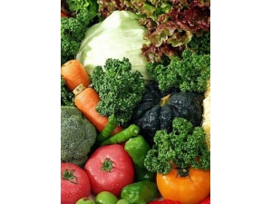 �и���ʲô�� �и�����Ӫ����ʳ�״�ȫ