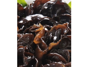 ��ʳ�뽡�� ǧ������10�֡������߲�