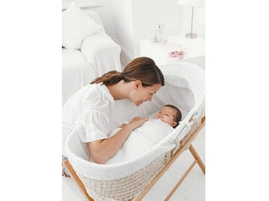 ����֪ʶ��ȫ ������ô����������