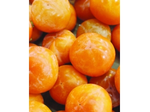 �ո����ܳԵ�ˮ�� �ո���ˮ��С���׻���