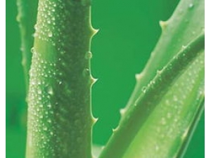 ��ҽ�Ʒ�ȥ������ ����⻬����