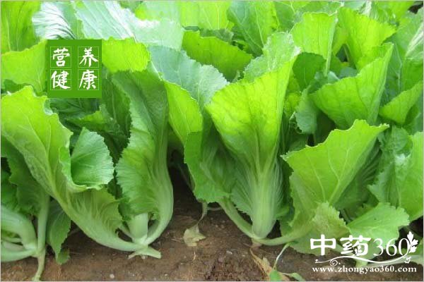 jiecaideyingyangjiazhi