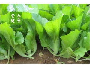 ��˵�Ӫ����ֵ����Ч