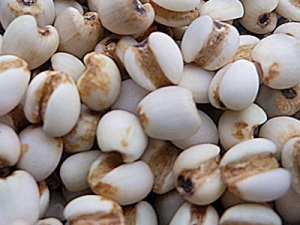 美白新方法 巧食薏米能美白