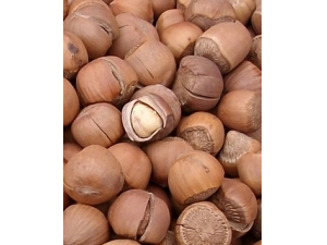 ��ӵ�Ӫ����ֵ ��ӵ���ʳ����