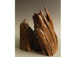 ̴��ľ�Ĺ�Ч������ ̴��ľ����ҩ�ü�ֵ