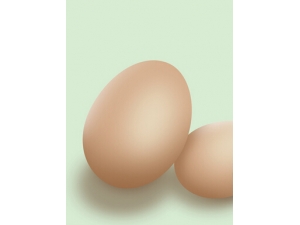 ������ʲôʳ�� 16����Ѳ���ʳ��