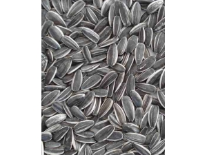 �����ѵĹ�Ч������ �����˲����˶�Թ���