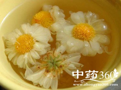菊花茶的禁忌 你还踩在雷区里吗(2)