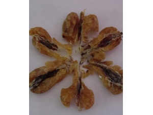 �����͵Ĺ�Ч ʳ���������İ���