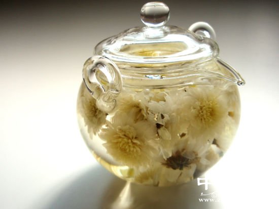 菊花茶的禁忌 不是所有人都适合菊花茶(2)