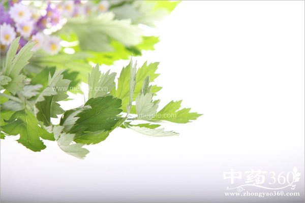 aiyepaojiaoyoushenmehaochu