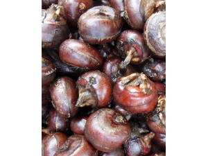 ����Ĺ�Ч������ �����������ȫ