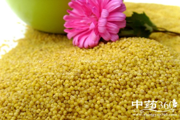 guleideyingyangjiazhi