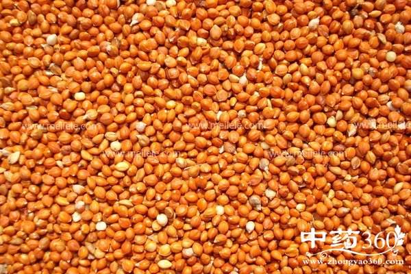 guleideyingyangjiazhi