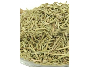 �ȸ������������� �Ƽ���������������