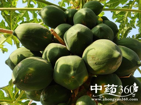 ľϵĹЧ ľϵĴЧ(3)