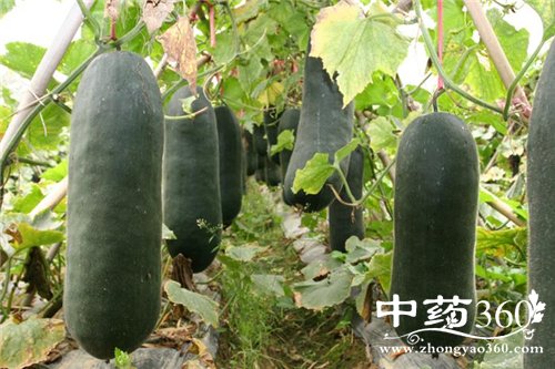 ���ϵĹ�Ч������ ��������Ч�ļ��ʷ�(5)