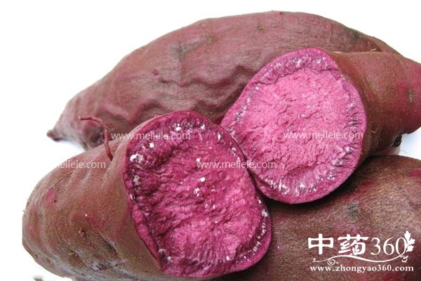 zishudeyingyangjiazhi