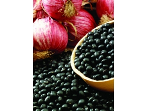 ���������ƽ� ��Ժڴ����