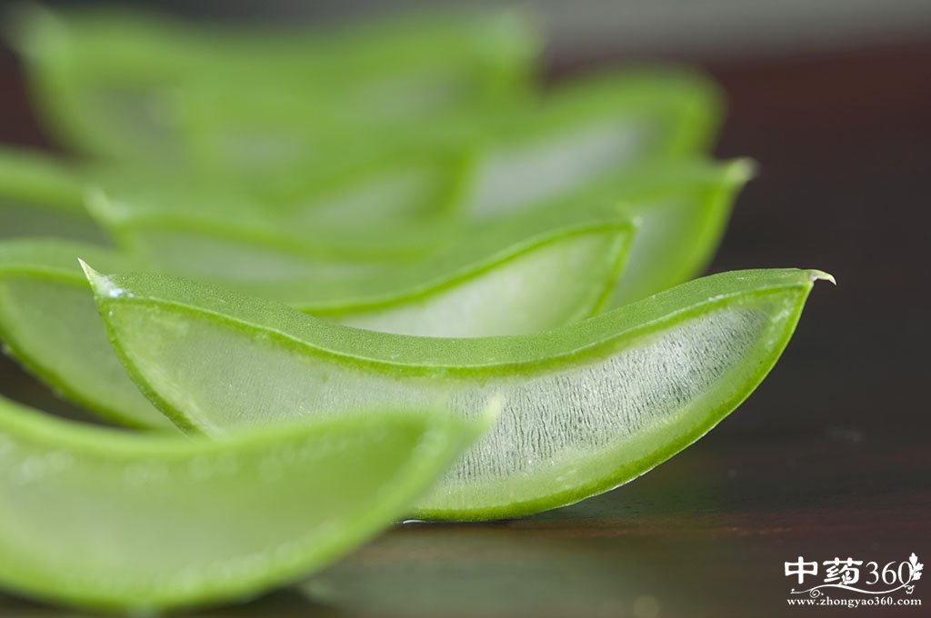 芦荟的营养价值 平凡芦荟功效多(2)