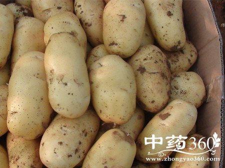 土豆的功效 土豆的禁忌有哪些(2)