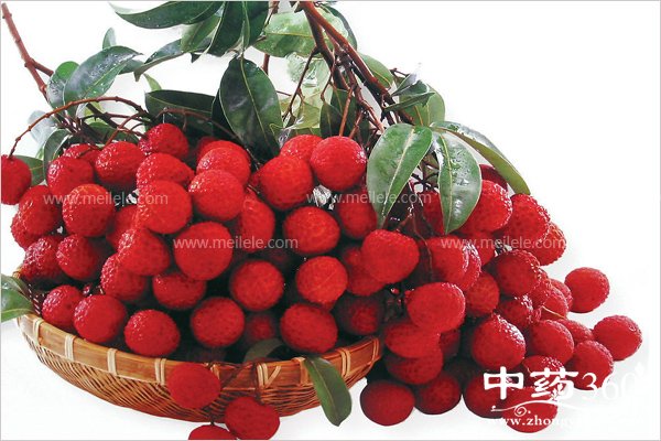 lizhidegongxiaoyuzuoyong