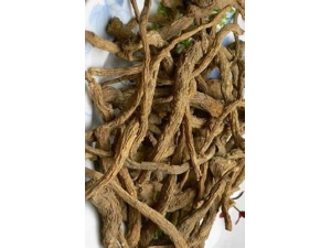 ��ͷ����Һ���¾���Ѫ ����������ͷ����Һ�ķ���