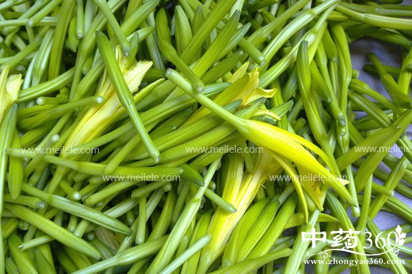 huanghuacaideyaoyongjiazhi