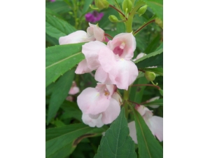 ȫ�ݿ����ʪ ȫ����������Ҫ����