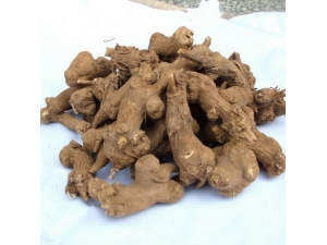 ��صĹ�Ч������ ���ʳ��Ч�����