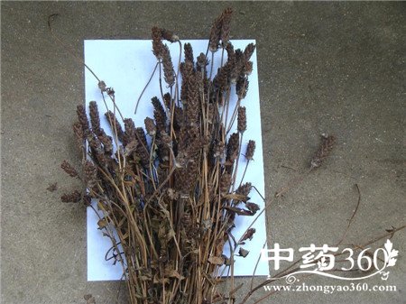 ѪѹνѪѹ ĿݲԽѹ̫(3)