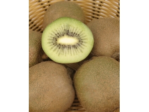 ��������ˮ�� ����5��ˮ�������°�֢