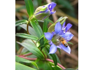 �ʺ���ʹ ��ҽ�����ʺ���ʹ��30��ƫ��