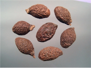 �ִ���ô�ݲź� �ݲ�������������취