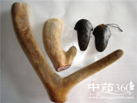 ¹׾ƶǮ Щ˿ɱ̰(2)