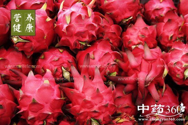 chihuolongguodehaochu