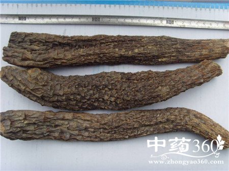 肉苁蓉的价格 学会这些告别次品(3)