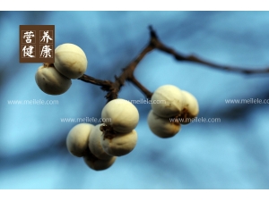 �׹���ҩ�ü�ֵ��� �԰׹���ʲô�ô�